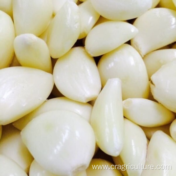 New Crops Factory Supply Peeled Garlic